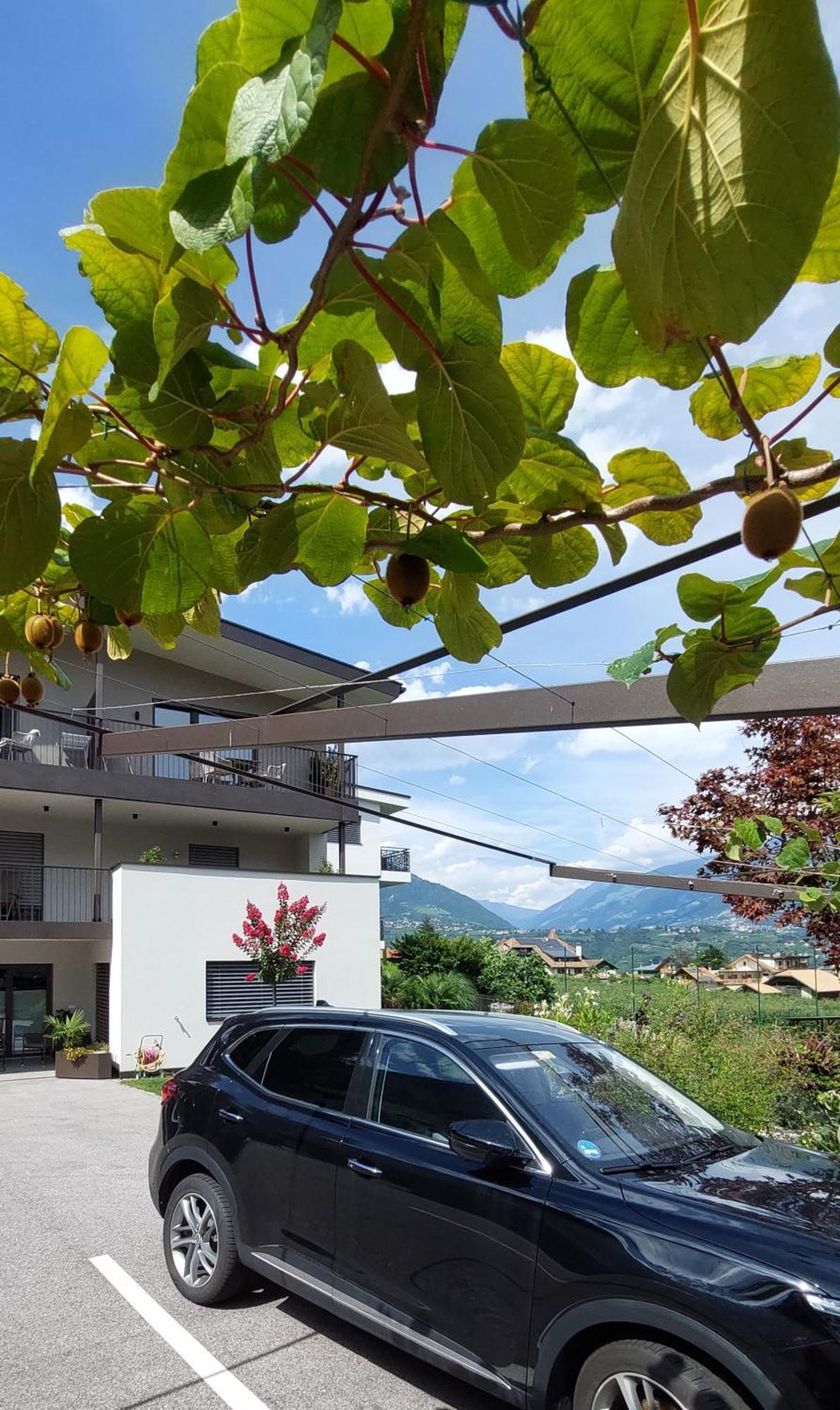 Marlingsuites - Vinea - Wieser Josef - Marling Εξωτερικό φωτογραφία