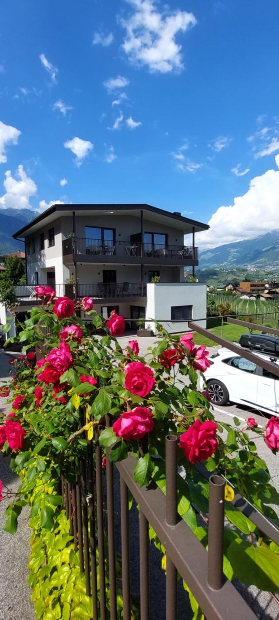 Marlingsuites - Vinea - Wieser Josef - Marling Εξωτερικό φωτογραφία